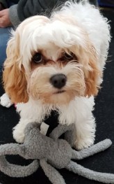 Resized_20170719_120341