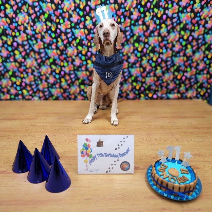 20220606_132813_resized