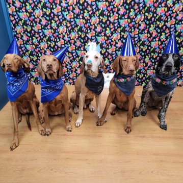 20220606_134227_resized